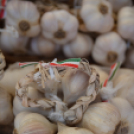 Kult-utca az Óvárosi kávéháznál (Fotó: Bánhegyi István)