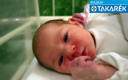 Hideghéty Anna, Halászi