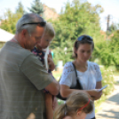 IV. Karolina Day (Fotó: Nagy Mária)