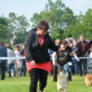 CAC kutyakiállítás (Fotó: Nagy Mária)