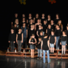 Nyárcsalogató (Fotó: Nagy Mária)