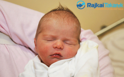 Hörcsög Loretta, 2200 gr. Ásványráró