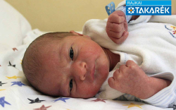 Gutecz Milán, Rajka