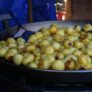 IX. Szigetköz ízei, Vármegyék borai Fesztivál (fotó: Stipkovits Veronika)