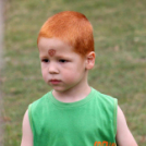 Pillangó Óvoda lovas nap és piknik (Fotó: Stipkovits Veronika)