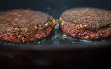 Nagy István: beláthatatlanok a műhús terjedésének következményei