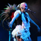 Voluta 1 nap (Fotó: Stipkovits Veronika és Bánhegyi István)