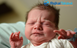 Hajdu Zalán, Levél