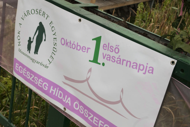 Egészség Hídja Összefogás - Lajtahidi séta