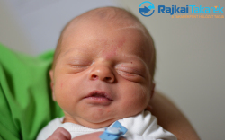 Szalai Ádám Szabolcs, 3420 gr. Kapuvár