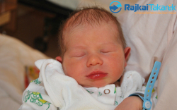 Frey Ádám, 3280 gr. Hegyeshalom