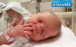 Szalai Virág Eszter, Kapuvár