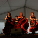 Első Engler Családi Nap (Fotó: Horváth Attila)