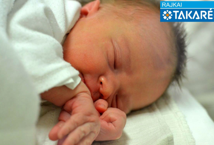 Boros Kamilla, Hédervár