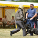 4. Kéklámpás Nap (Fotó: Horváth Attila)