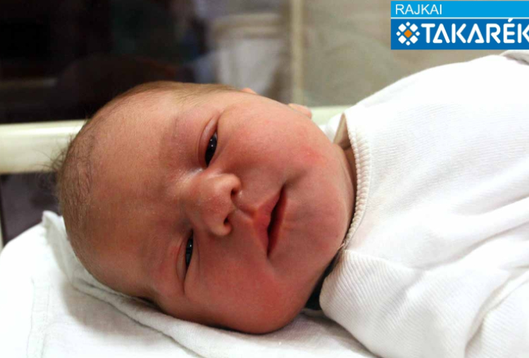 Brkál Bendegúz, Püski