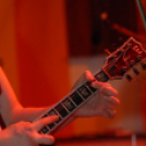 Fiok - Péntek - Koncert