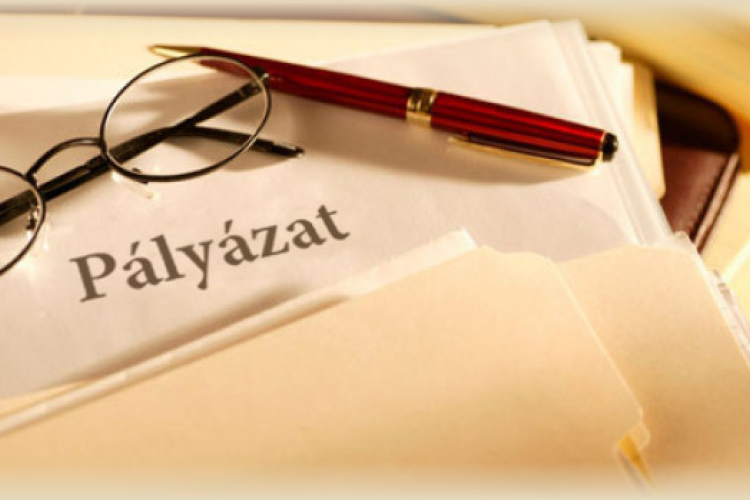 Pályázati hirdetmény: 240/2019