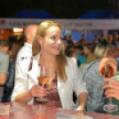 Szigetköz ízei, Vármegye borai Fesztivál 1. nap (Fotó: Bánhegyi István)