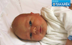 Takó Zente, Tárnokréti