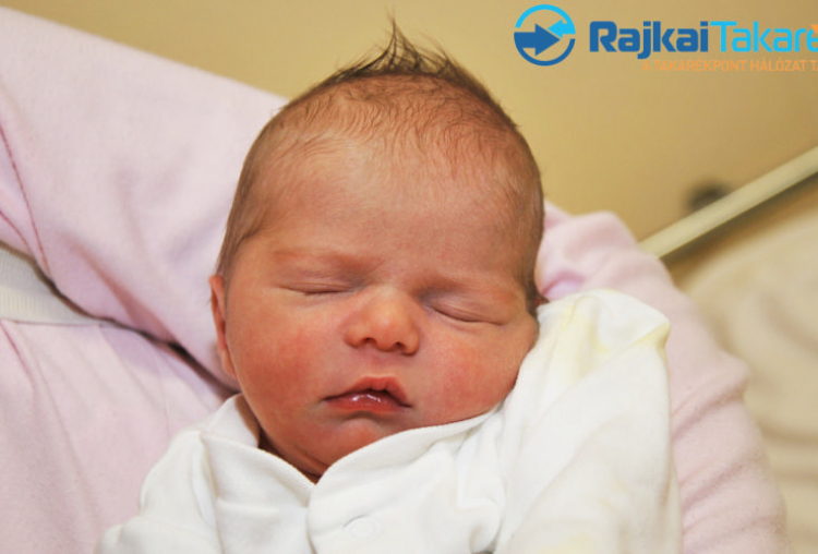 Hörcsög Loretta, 2200 gr. Ásványráró