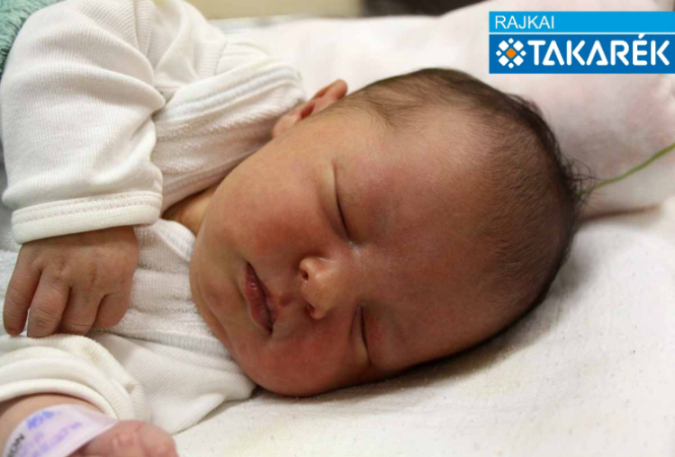 Horváth Zsófia Sarolta, Mosonmagyaróvár