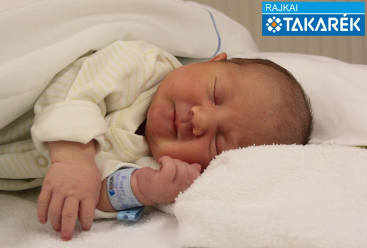 Gulyás-Huszár Zétény, Mosonmagyaróvár