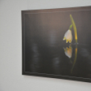 Kerekes István fotókiállítás megnyitója (Fotó: Nagy Mária)