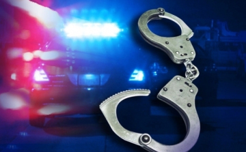 Vádemelési javasat a táskatolvaj ellen