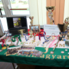 XIX. Mosonmagyaróvári Civil Nap 