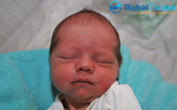 Szabó Dávid Imre, 3320 gr. Mosonmagyaróvá