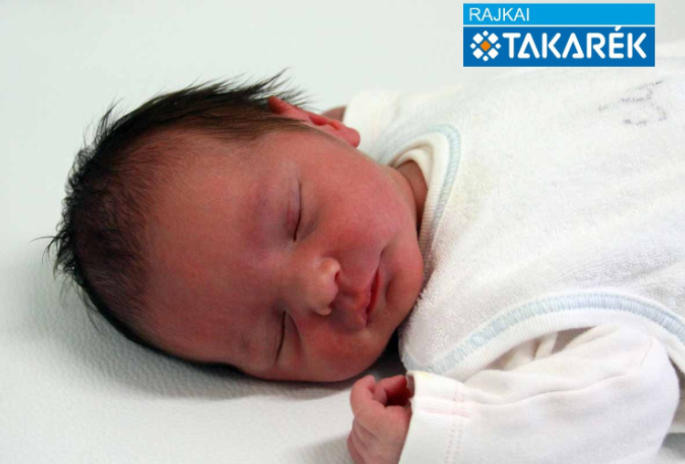 Szilágyi Szófia, Jánossomorja