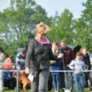 CAC kutyakiállítás (Fotó: Nagy Mária)