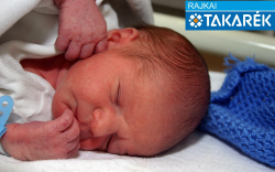 Kertész Zoltán, Mosonmagyaróvár