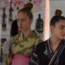 Japán nap a Flesch Központban