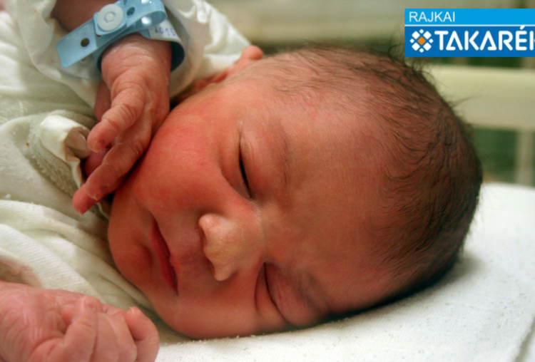 Demjén Zalán, Bősárkány