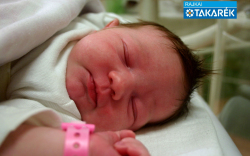 Varga Mira, Rábakecöl