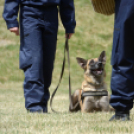 4. Kéklámpás Nap (Fotó: Horváth Attila)