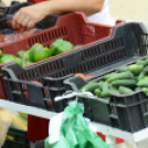 KULT-UTCA - Western Nap