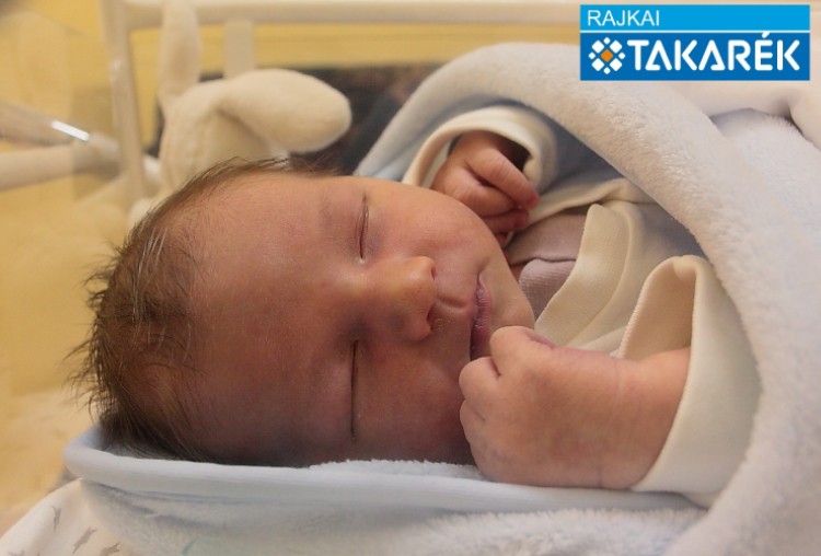 Németh Noel, Mosonmagyaróvár