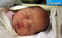 Rácz Ramóna Anna, Mosonmagyaróvár