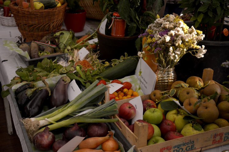 Termény- és virágkiállítás 