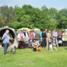 CAC kutyakiállítás (Fotó: Nagy Mária)