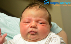 Félix Hanna, 3910 gr. Máriakálnok