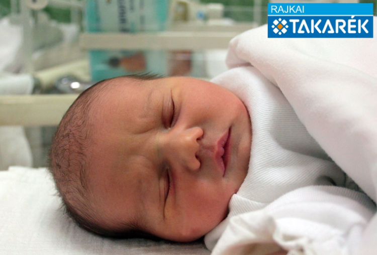 Visi Boglárka, Mosonszentmiklós