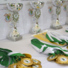 XXII. Városi Óvodás Sportnap