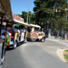 Entente Florale Day Mosonmagyaróvár - Virágzó Város Mosonmagyaróvár (Fotó: Bánhegyi István)