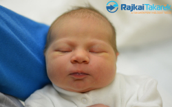 Bertalan Viola Anna, 3750 gr. Levél