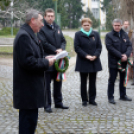 2015. MÁRCIUS 15. Mosonmagyaróvár (Fotó: Horváth Attila)