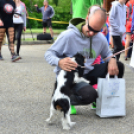 XII. Greiner Szigetköz Minimaraton (Fotó: Horváth Attila)